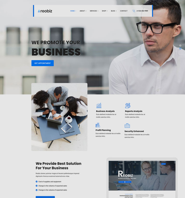 Business consulting WordPress theme demo homepage variant 1