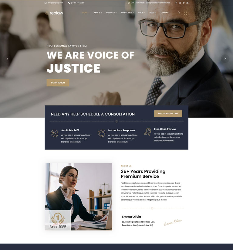 Law firm WordPress theme demo homepage
