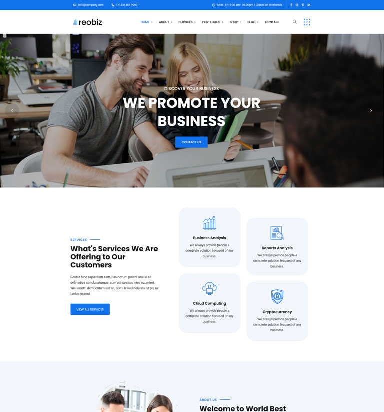 Consulting WordPress theme demo homepage variant 2